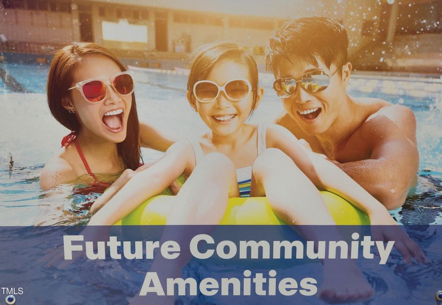 Future Community Amenities