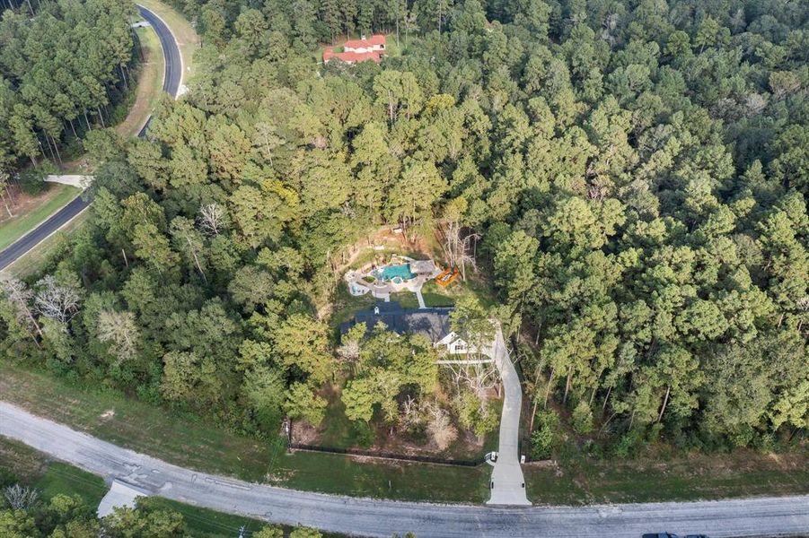 You see here the black roofline and the blue pool area in the back yard.  the neighbor's home behind is secluded from yours as the forest is abundant from your house and pool to theirs.