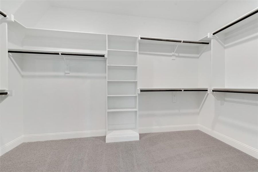 Spacious closet featuring carpet floors