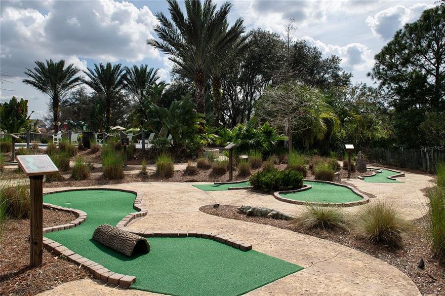 18 Hole Mini Golf Course