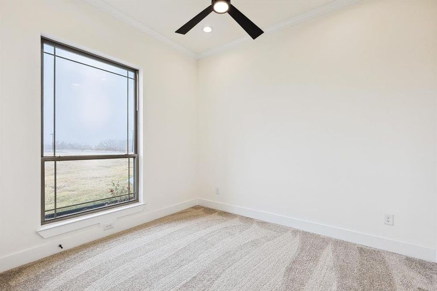 Empty room featuring carpet flooring, ornamental molding, and ceiling fan