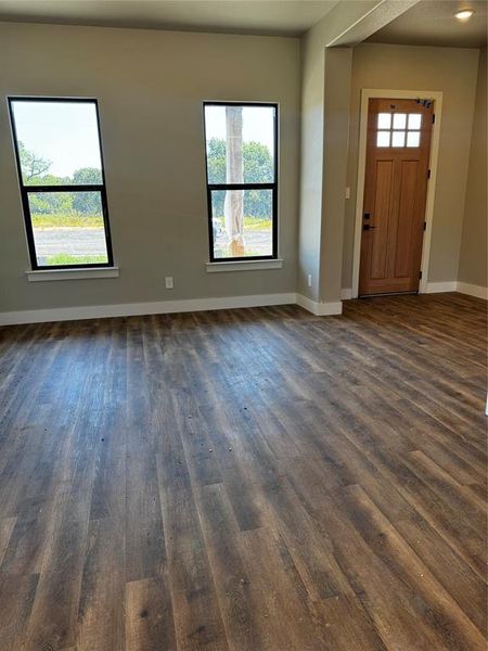 Foyer featuring dark wood-type flooring and a healthy amount of sunlight