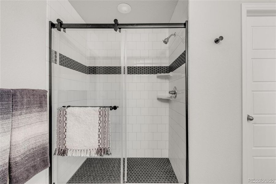 Primary Bath Walk-In Shower