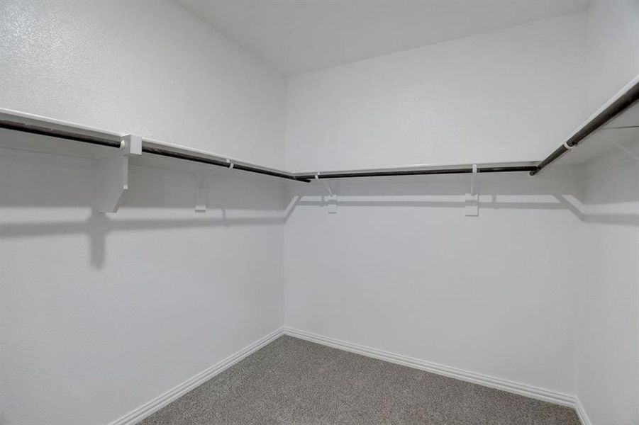 Walk in closet featuring carpet