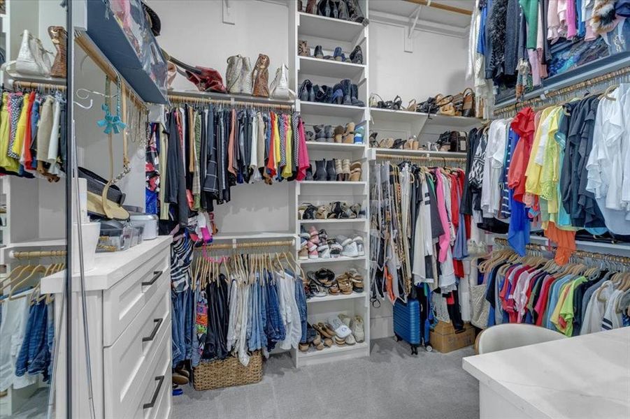 Spacious closet featuring light carpet