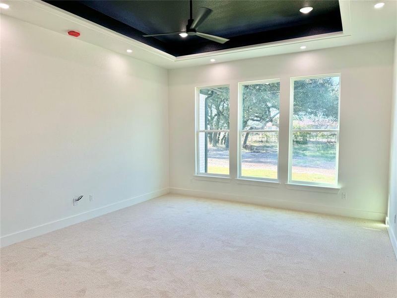 Carpeted empty room with ceiling fan and a raised ceiling