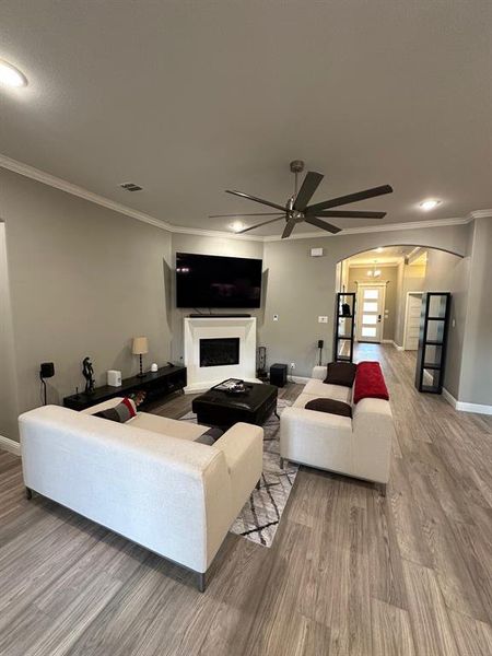 Living room with ceiling fan, crown molding, and wood-type flooring