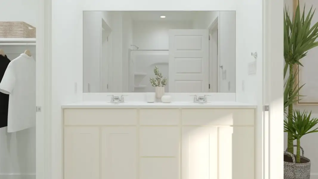 Owner's bathroom sinks