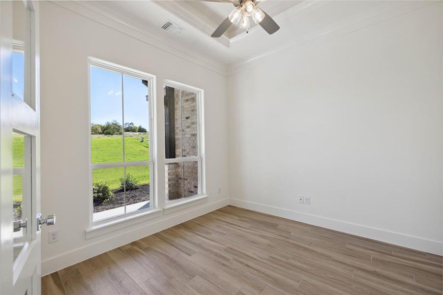 Unfurnished room featuring ceiling fan, crown molding, light hardwood / wood-style floors, and plenty of natural light