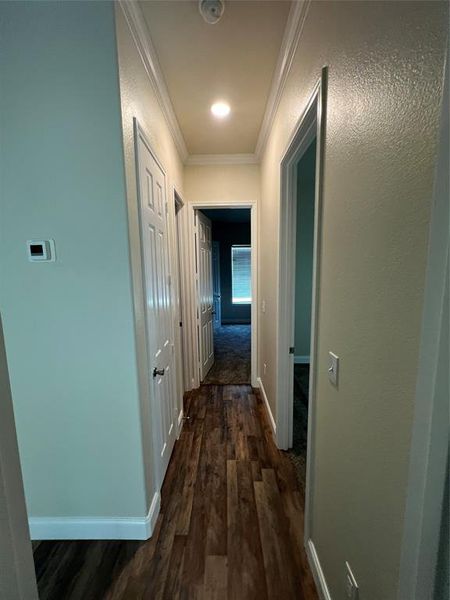 Hall featuring crown molding and dark wood-type flooring