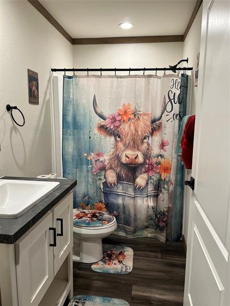 Bathroom with wood-type flooring, curtained shower, toilet, vanity, and ornamental molding