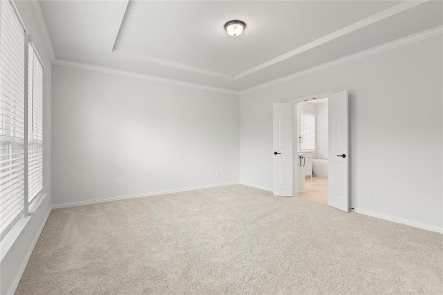 Unfurnished bedroom with multiple windows, a tray ceiling, ornamental molding, and light colored carpet