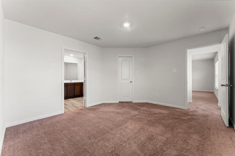 Another view of the Primary Suite with the walk-in closet door and the en-suite entrance.