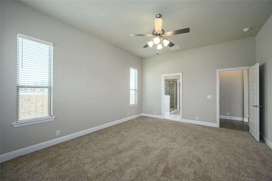 Empty room featuring carpet floors, ceiling fan, and a healthy amount of sunlight