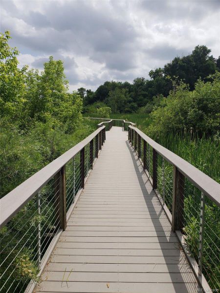 A bike ride away - 5-acre reservoir offers fishing for numerous warm water species and trails for exploring. It is part of the Clear Creek Trail and Wheat Ridge Greenbelt. Bass Lakes by Robert Millot