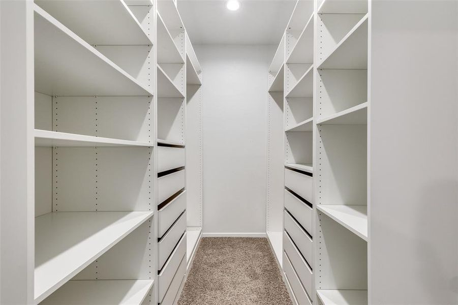 Walk in closet featuring carpet floors