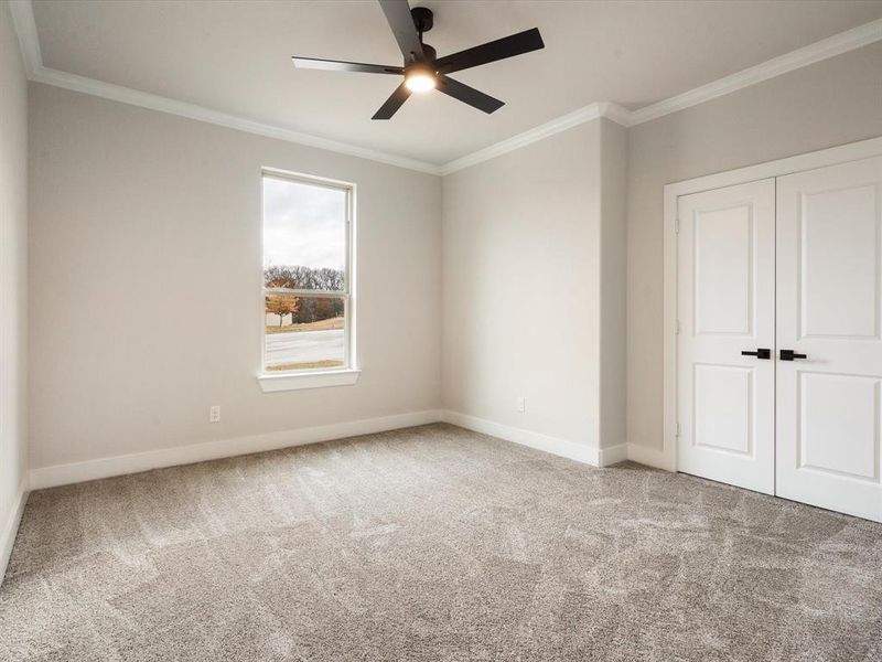 Unfurnished bedroom featuring ceiling fan, a closet, ornamental molding, and carpet