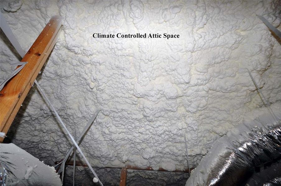 Climate controlled attic space adds to the energy efficiency program at Cervelle Homes.