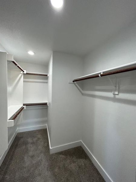 Primary bedroom with spacious closet