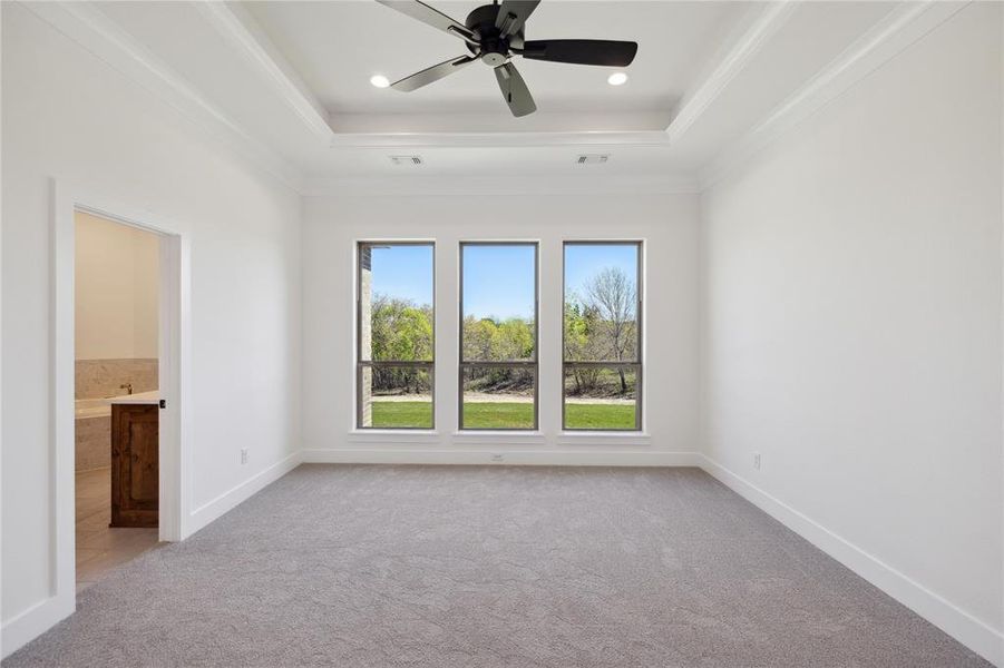 Empty room featuring carpet flooring, a raised ceiling, ornamental molding, and ceiling fan