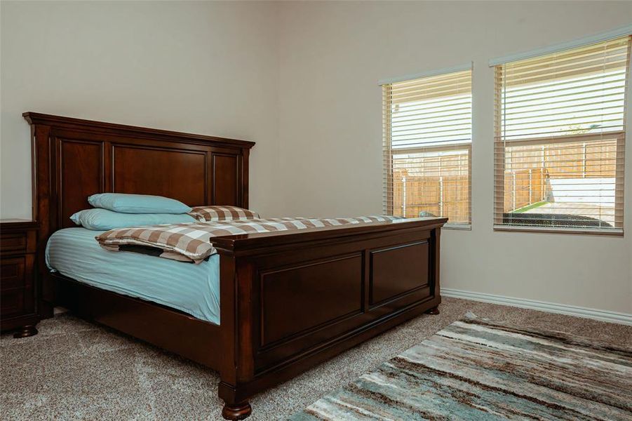 Bedroom featuring multiple windows and light colored carpet