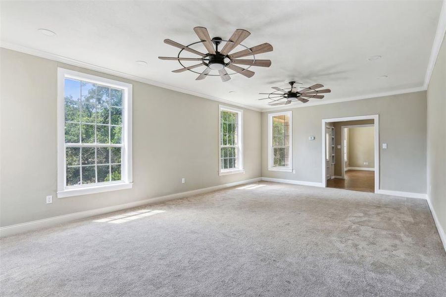 Living room featuring ornamental molding, carpet, a healthy amount of sunlight, and new ceiling fans