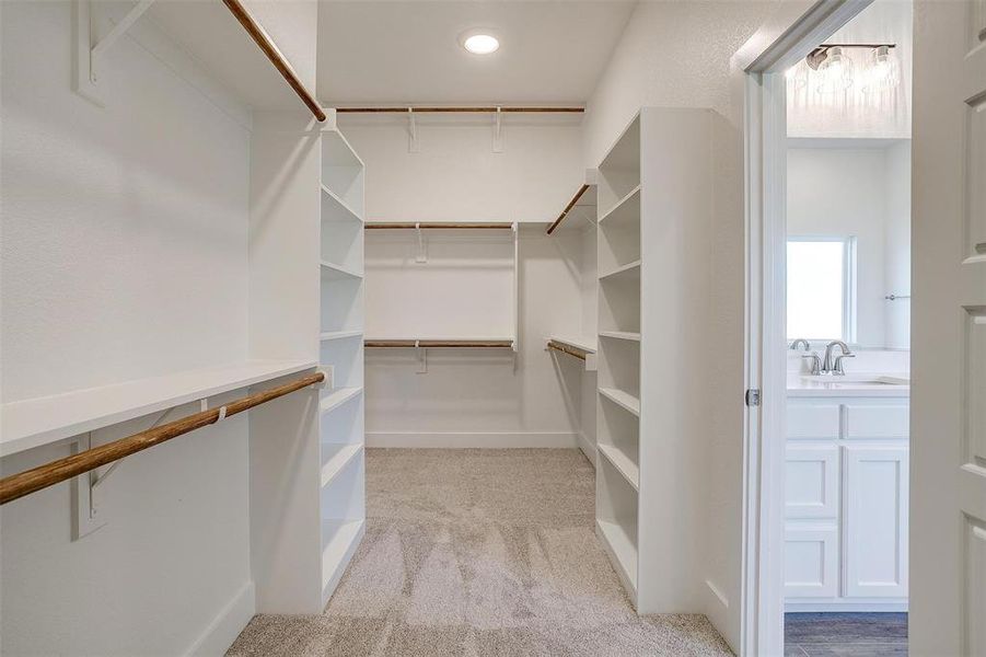 Spacious closet with sink and light colored carpet