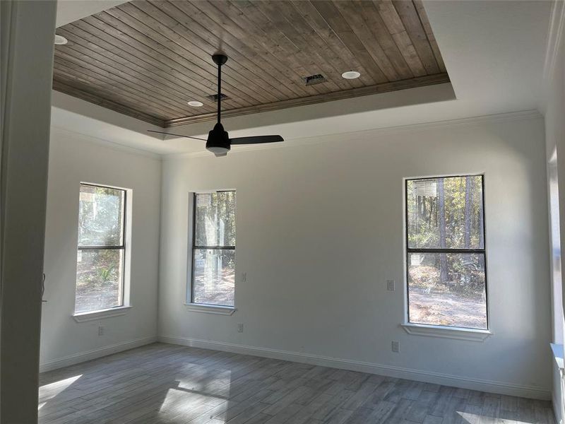 Picture meant to demonstrate comparable finishes planned- master bedroom has tray ceiling