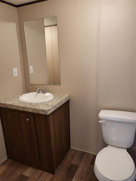 Bathroom with vanity, toilet, and wood-type flooring