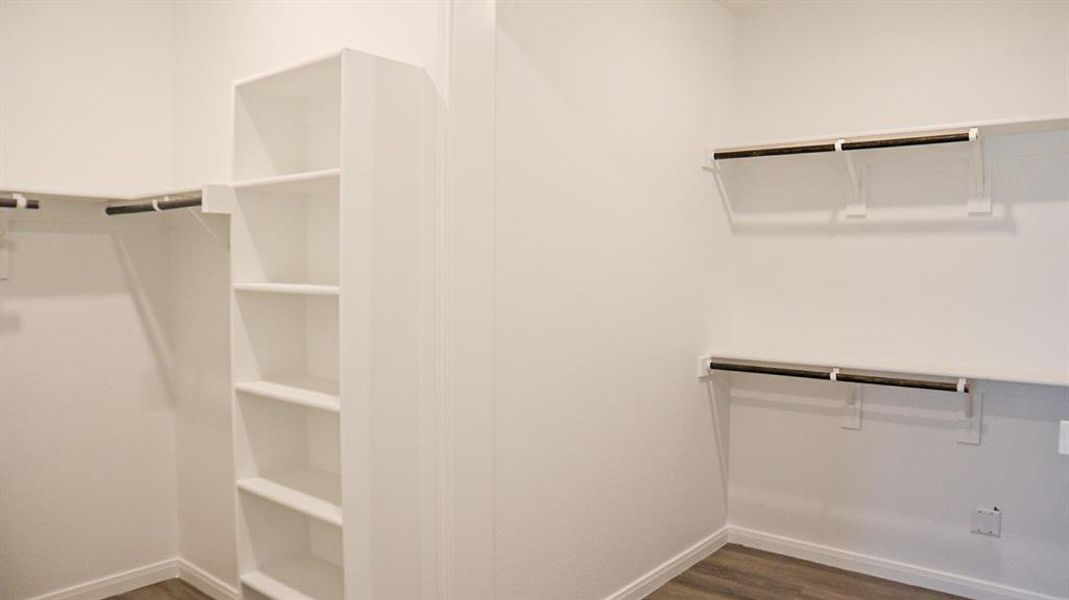 Walk in closet featuring dark hardwood / wood-style floors