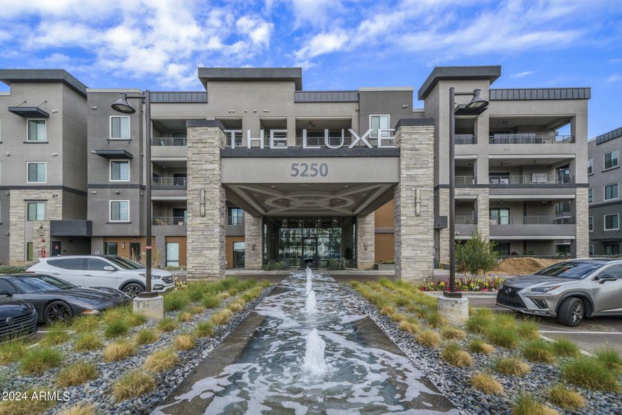 Welcome to the LUXE
