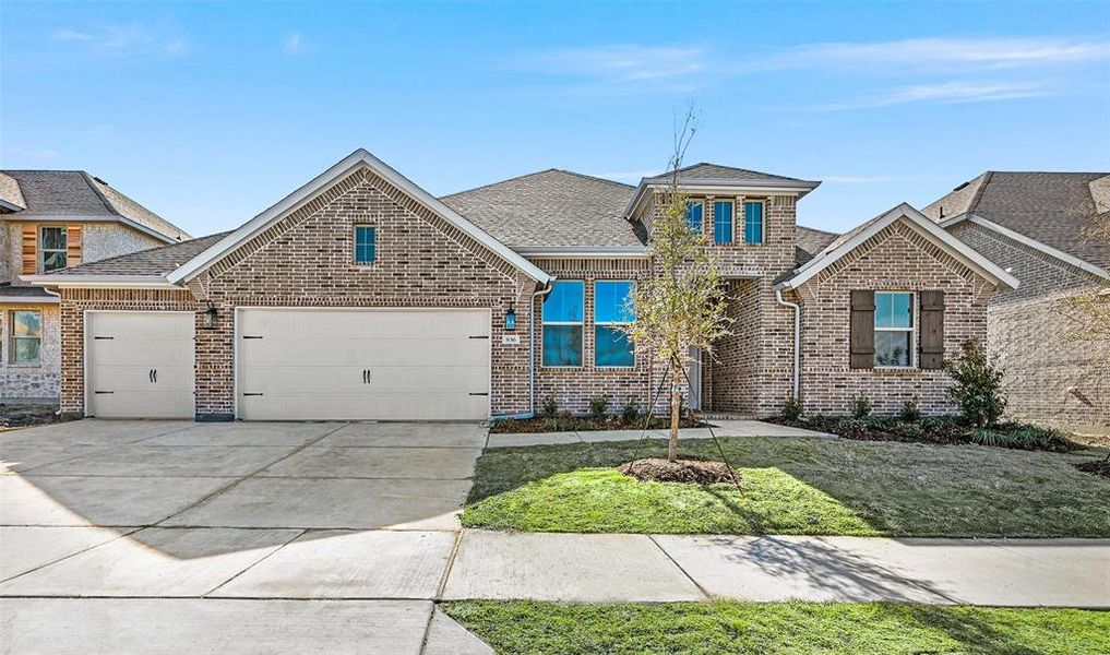 New construction Single-Family house 836 Emerald Heights, Lavon, TX 75166 Glasgow- photo
