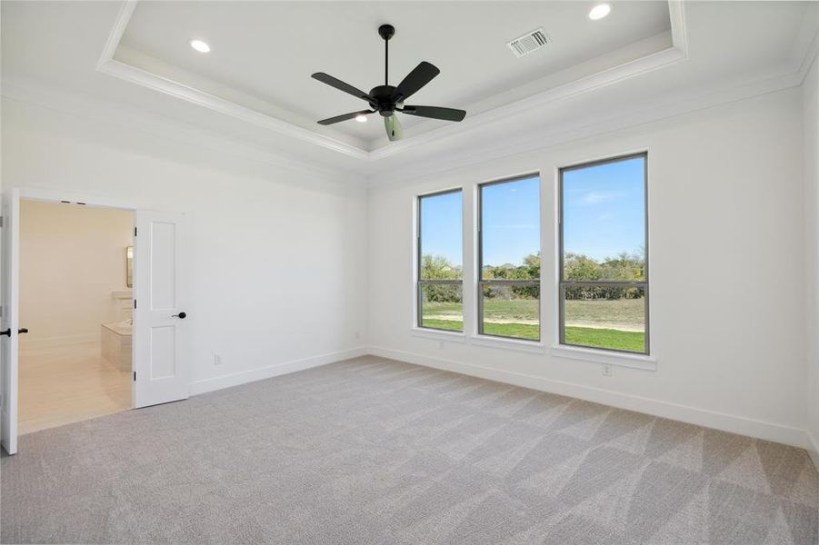 Carpeted spare room with a tray ceiling, ceiling fan, and crown molding