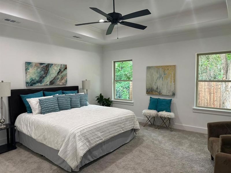 Bedroom featuring carpet floors, ceiling fan, multiple windows, and a tray ceiling