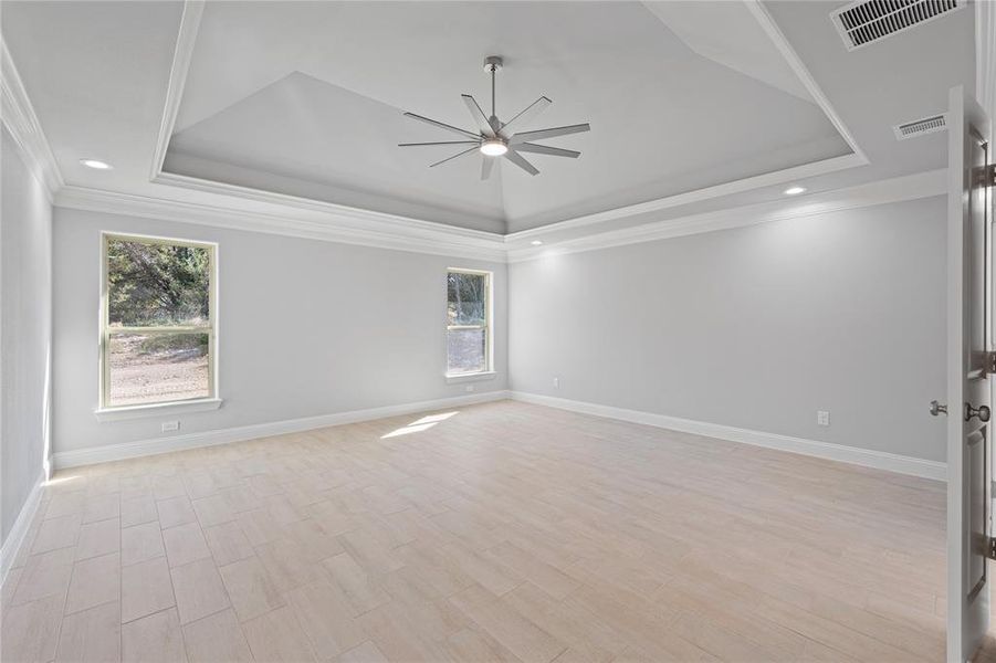 Empty room with light hardwood / wood-style flooring, crown molding, plenty of natural light, and a raised ceiling