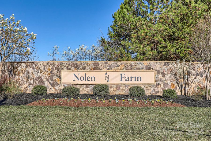 Welcome to Nolen Farm!