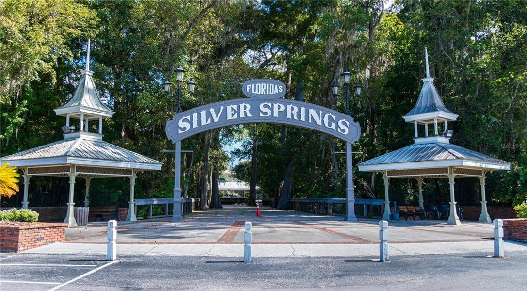 Silver Springs!