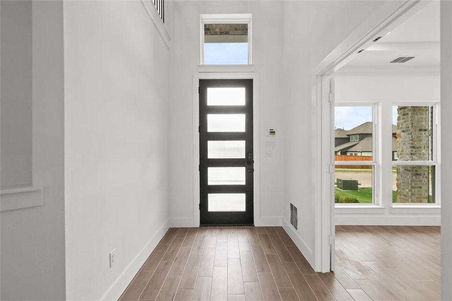 Foyer entrance featuring wood-type flooring