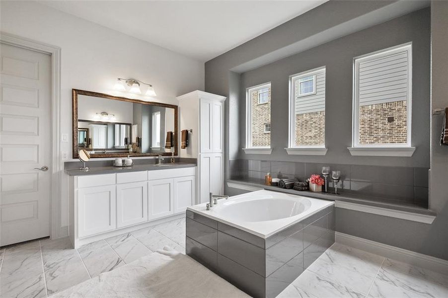 Bathroom with vanity and a washtub