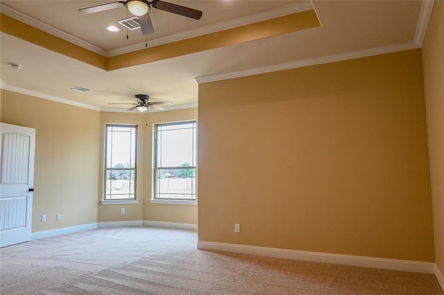 Primary bedroom has sitting area and tray ceiling.