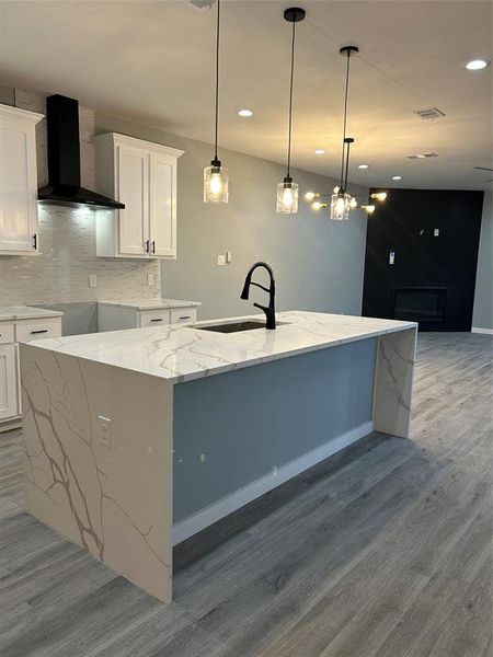 Kitchen featuring tasteful backsplash, hardwood / wood-style floors, an island with sink, sink, and range hood