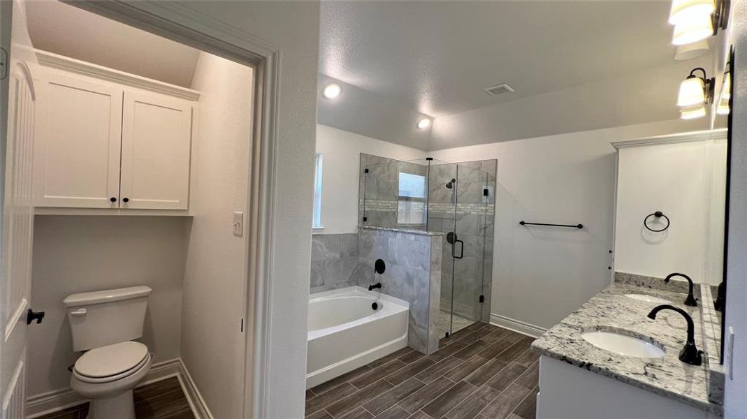 Full bathroom with vanity, shower with separate bathtub, and toilet