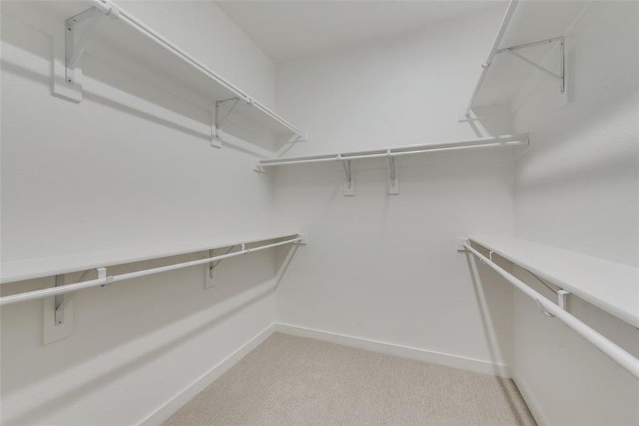 Spacious closet featuring light colored carpet