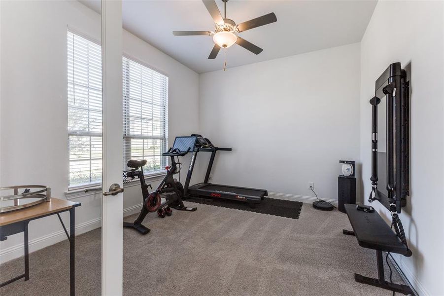 Exercise room featuring a wealth of natural light, ceiling fan and carpet floors