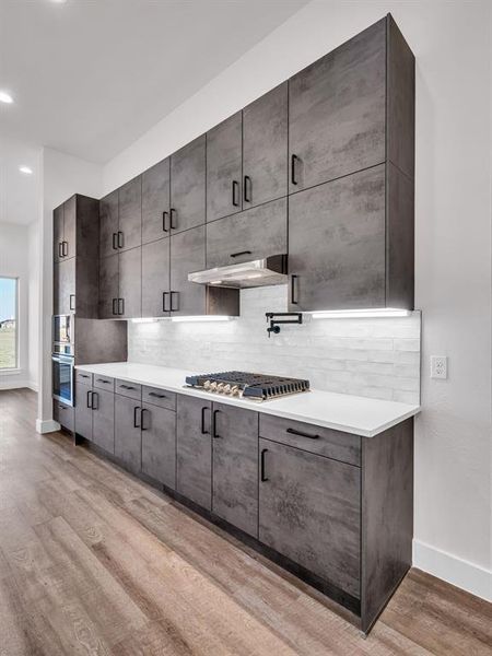 Kitchen featuring tasteful backsplash, light wood-type flooring, range hood, and stainless steel appliances