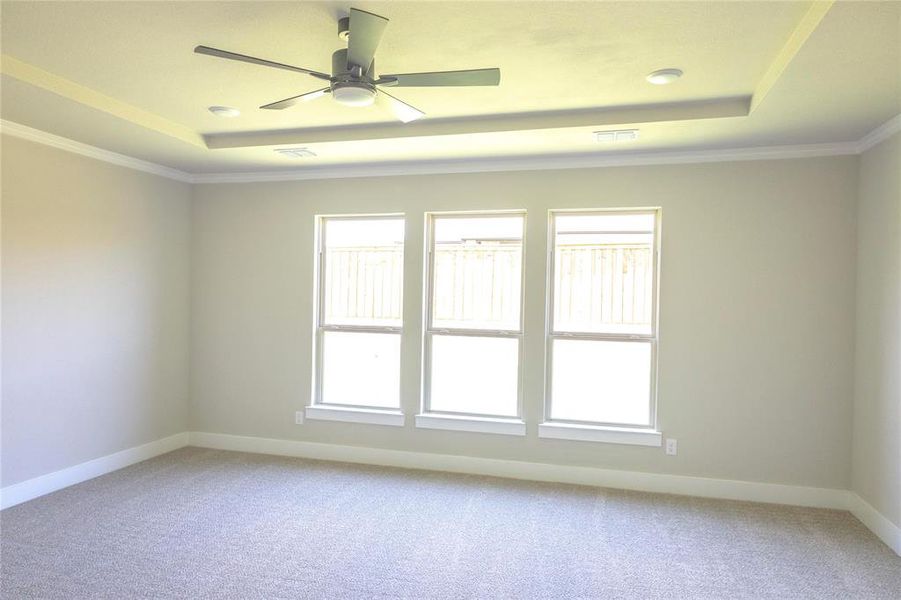 Spare room featuring a raised ceiling, carpet, ornamental molding, and ceiling fan