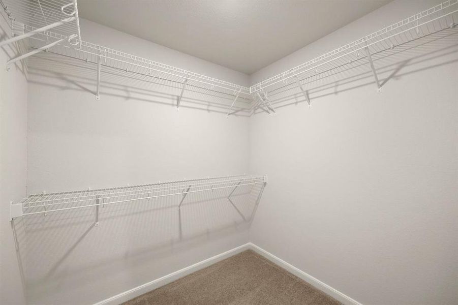 Carpeted walk in closet.