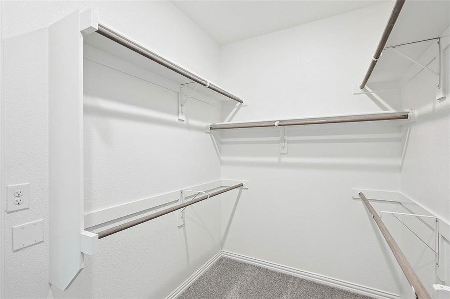 Walk in closet featuring carpet flooring