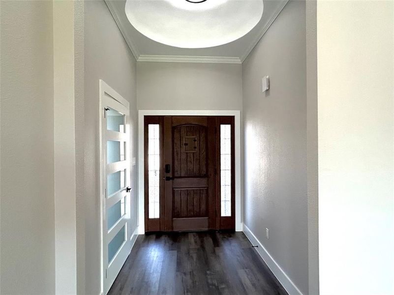 Foyer with dark hardwood / wood-style floors and ornamental molding