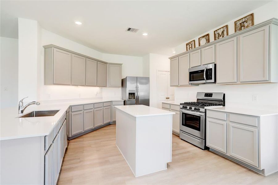 BEAUTIFUL COUNTERTOPS, STAINLESS STEEL APPLIANCES, TONS OF CABINET SPACE, AND A LARGE PANTRY.